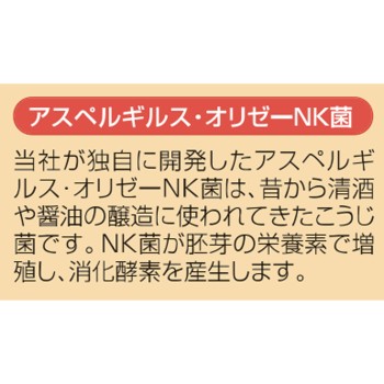 강력 와카모토 300정 와카모토제약