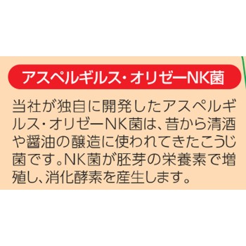 강력 와카모토 1000정 와카모토제약