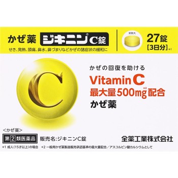 지키닌C정 27정 전약공업