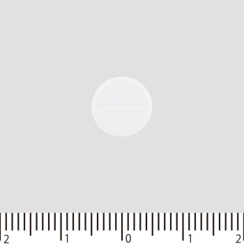 센파 트래블1 6정 다이쇼제약