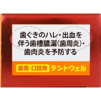 치주·구강용 덴트웰 100g 다이쇼제약