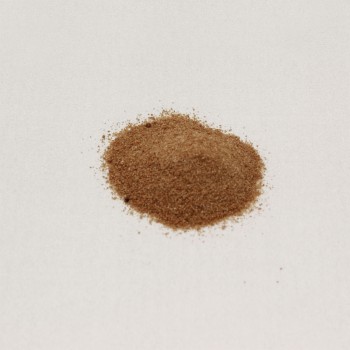 비오페르민지사약 6포 다이쇼제약