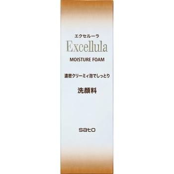 엑셀루라 EX 모이스처 폼 120g 사토제약