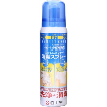 패밀리 케어 젯&미스트 폼 소독 스프레이 100ml 백십자
