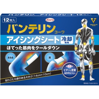 반테린코아 아이싱 시트 12매 코와