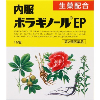 내복 보라기놀EP 16포 텐도제약