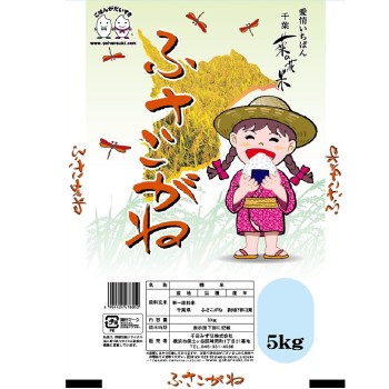 치바현산 후사코가네 5kg